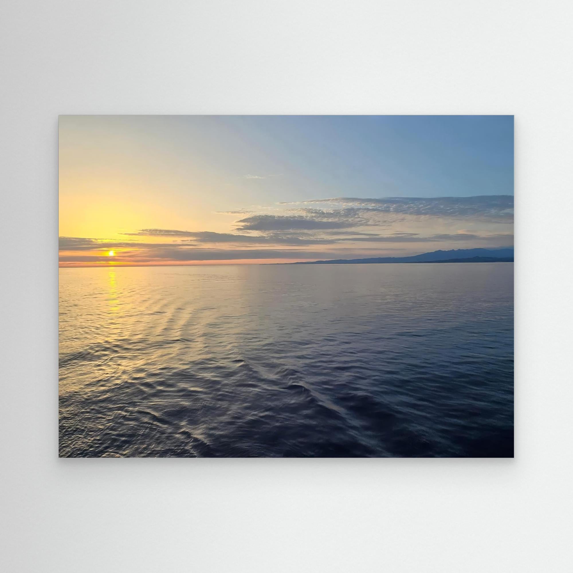 Embracing Calmness in Nature's Palette