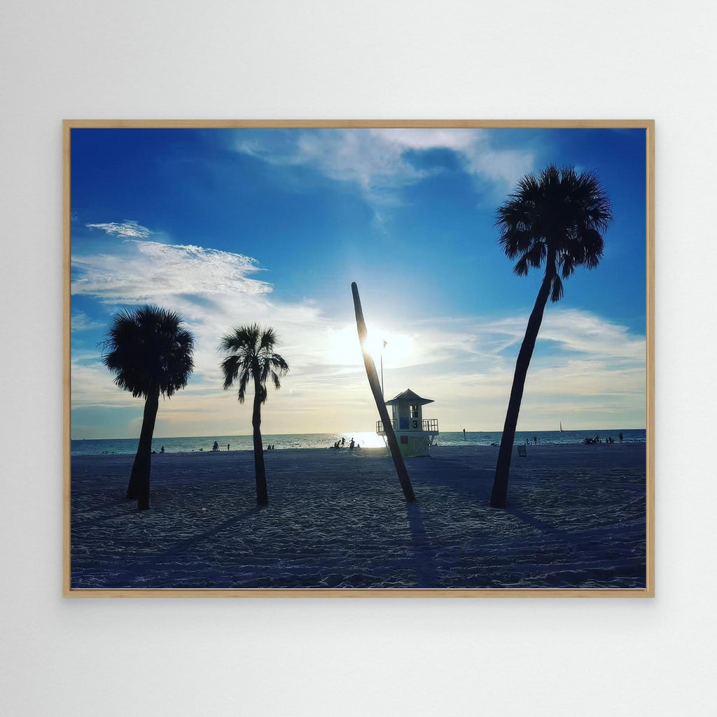 Palm Paradise