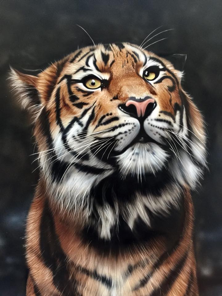 Majestic Presence: Capturing the Essence of a Tiger