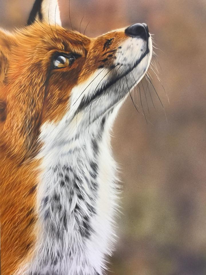 Foxy