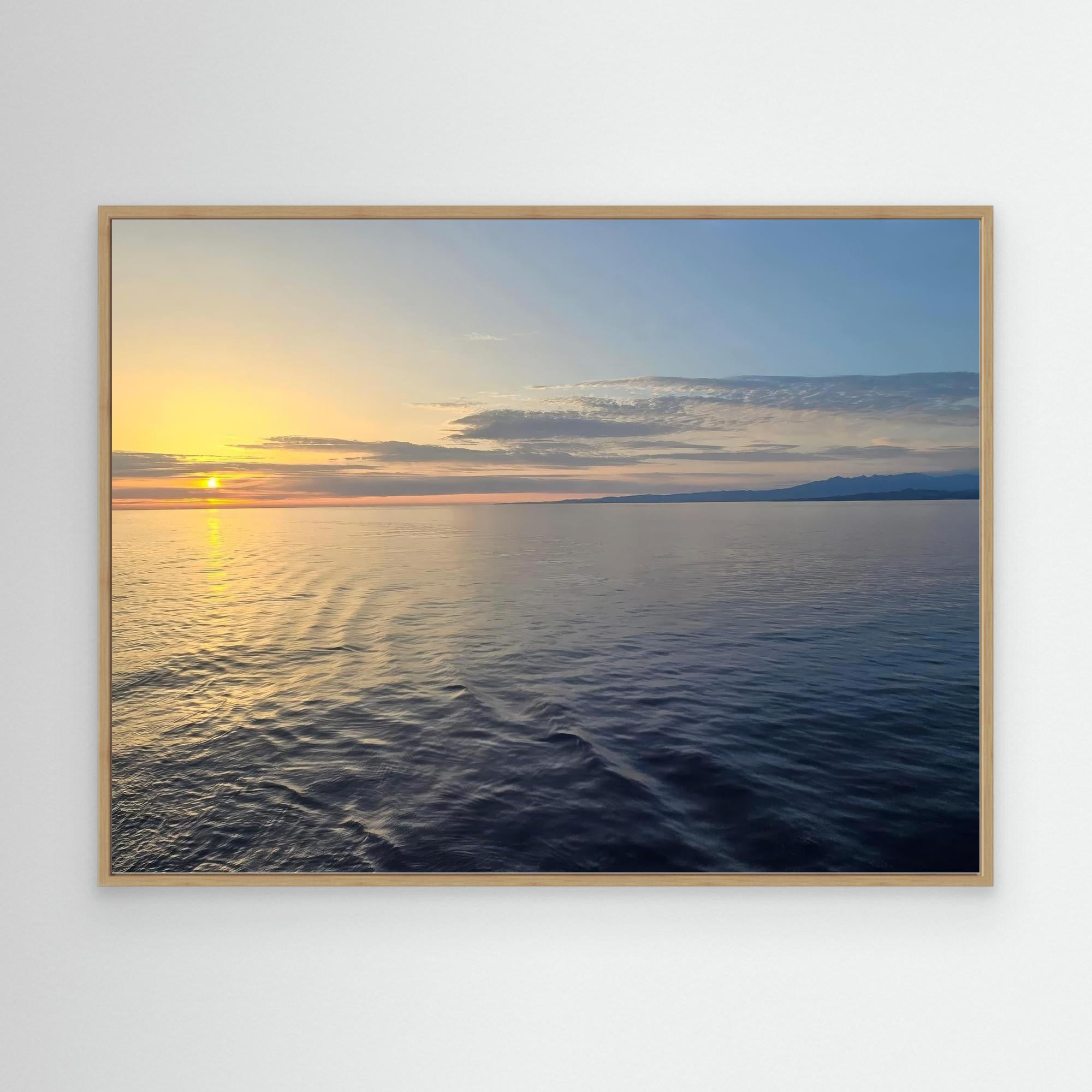 Embracing Calmness in Nature's Palette