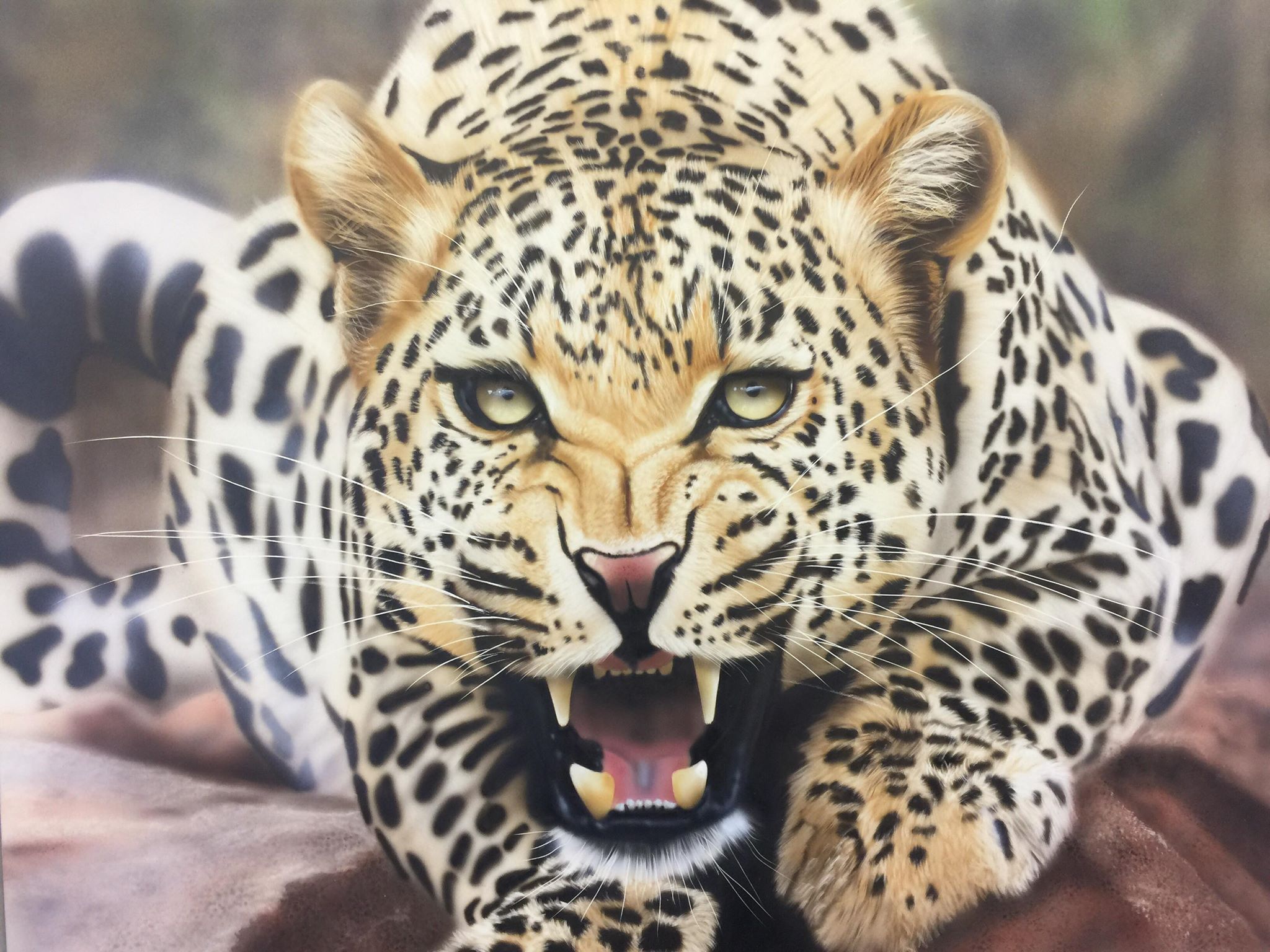 Jaguar