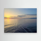 Embracing Calmness in Nature's Palette