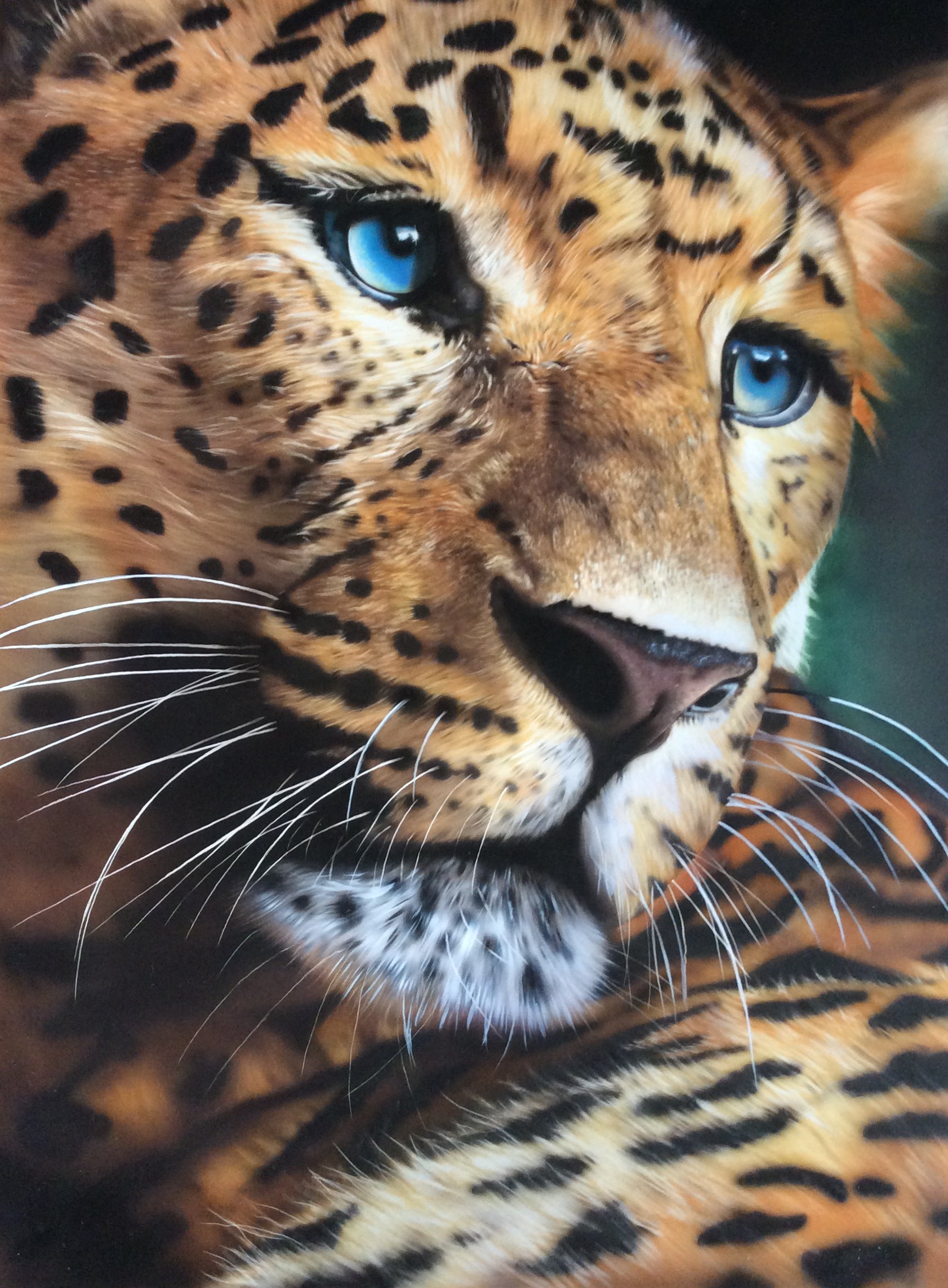 Eyes of the Wild