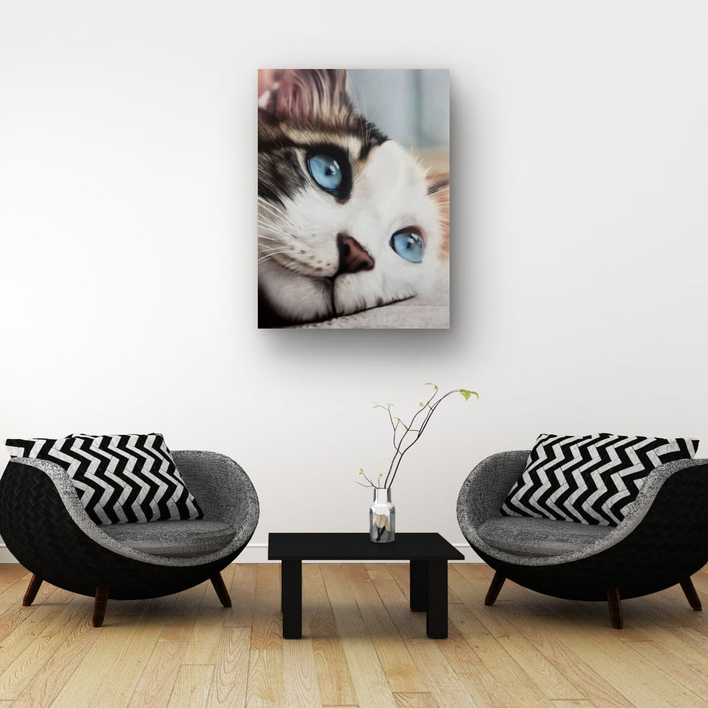 Whiskered Dreams