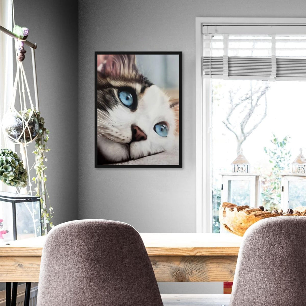 Whiskered Dreams