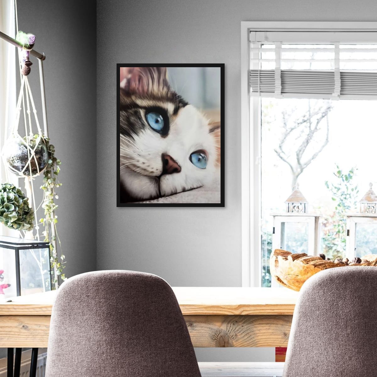 Whiskered Dreams