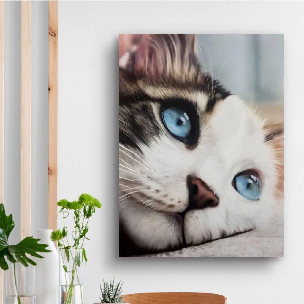Whiskered Dreams