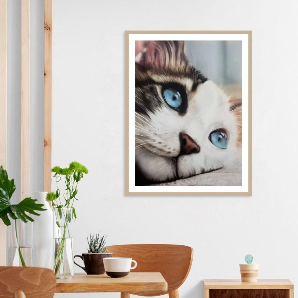 Whiskered Dreams