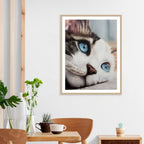 Whiskered Dreams