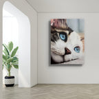 Whiskered Dreams