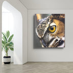 "Nature's Watcher