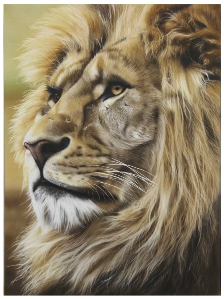 Fierce Elegance