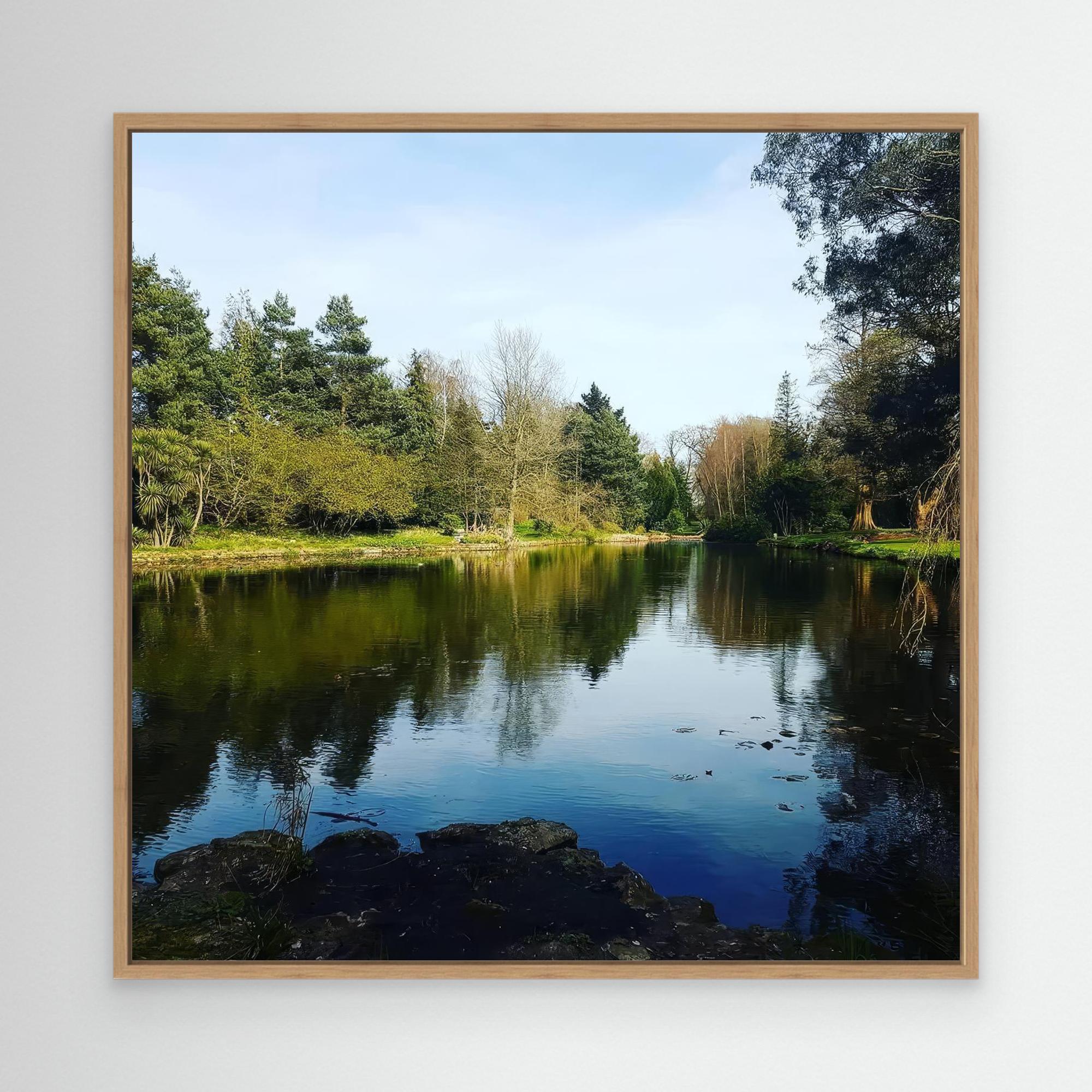 A Serene Landscape: Nature's Mirror