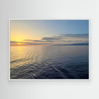 Embracing Calmness in Nature's Palette
