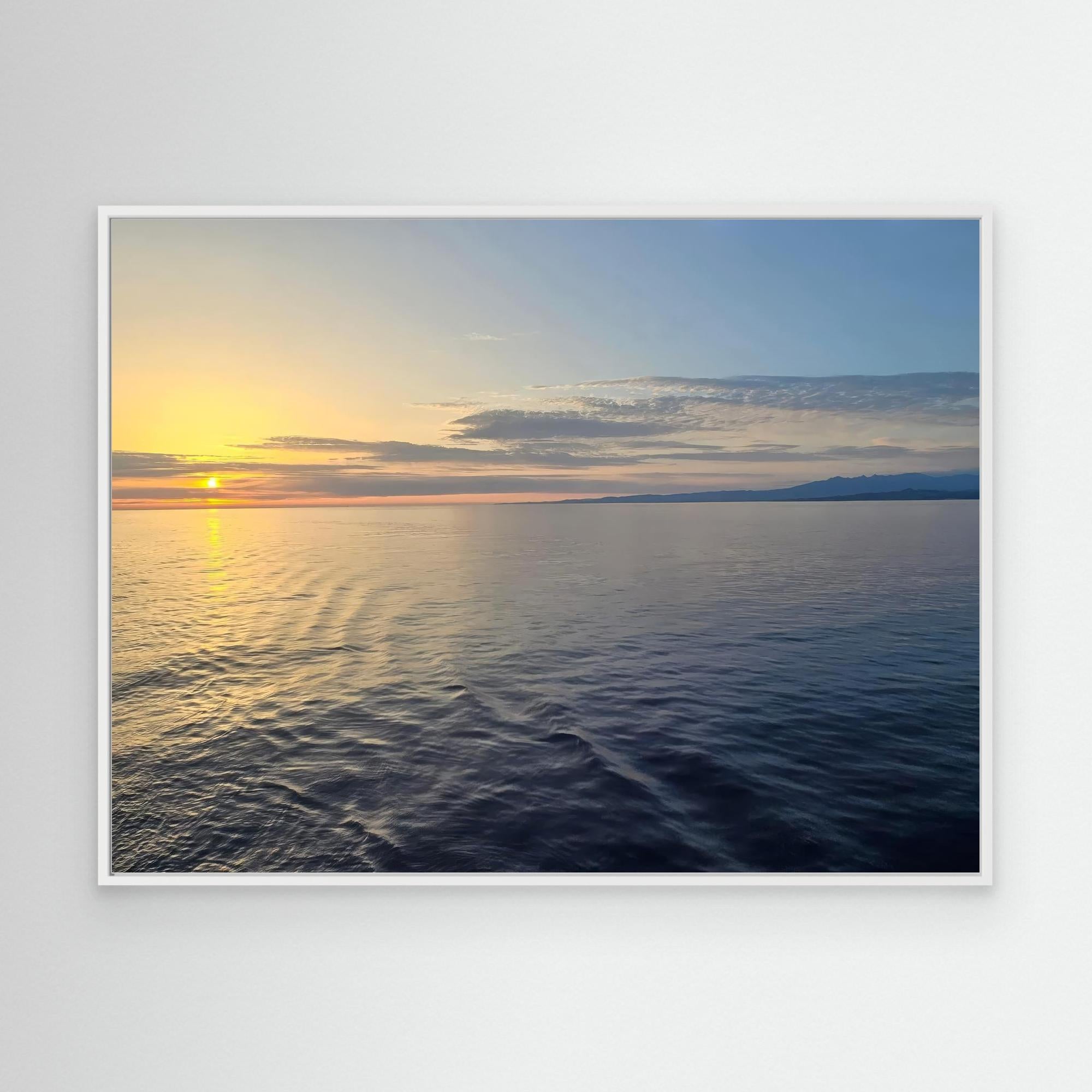 Embracing Calmness in Nature's Palette