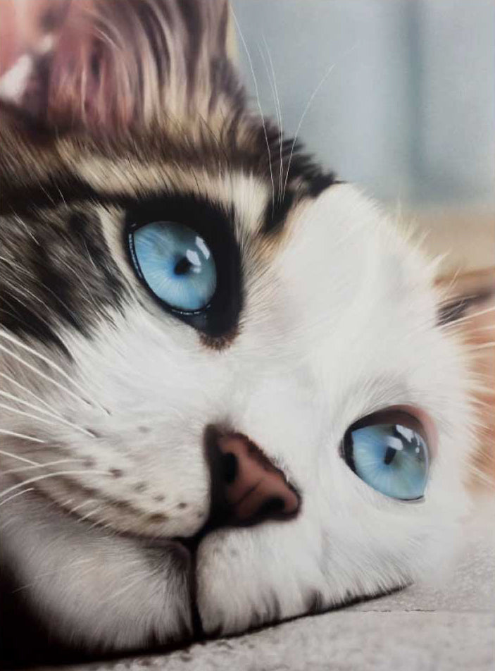 Whiskered Dreams
