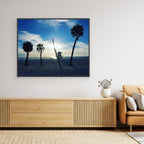 Palm Paradise