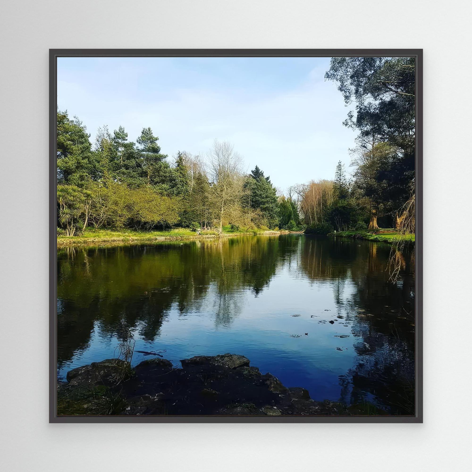 A Serene Landscape: Nature's Mirror