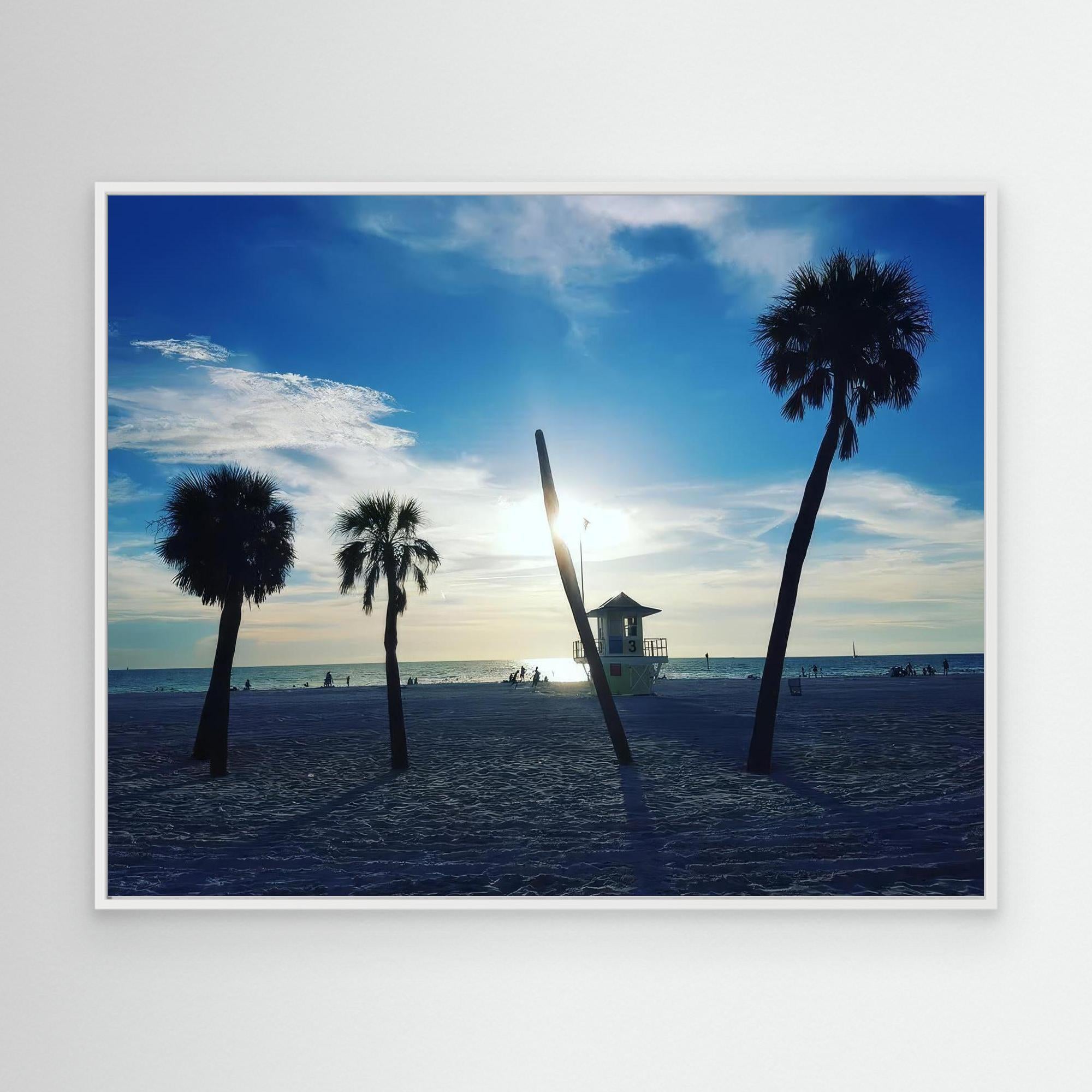 Palm Paradise