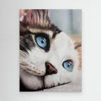 Whiskered Dreams
