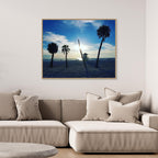 Palm Paradise