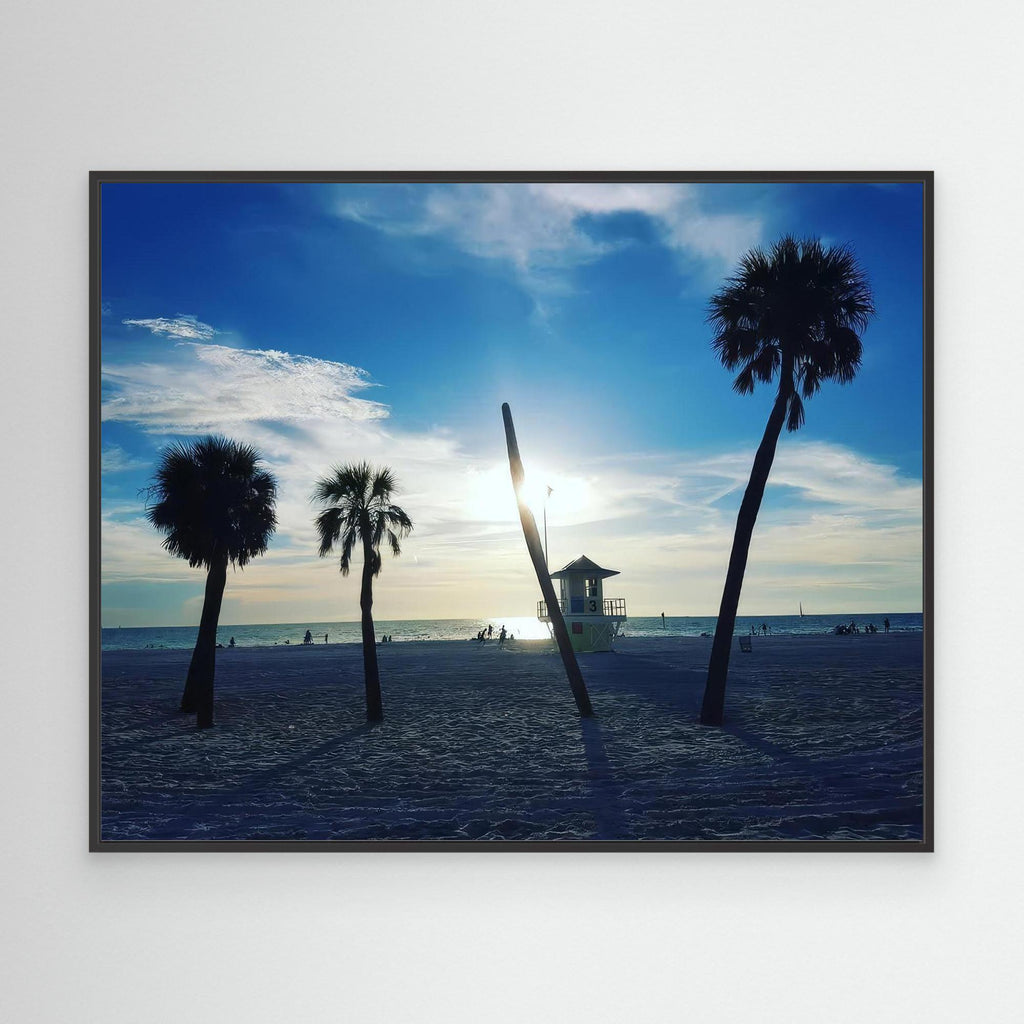 Palm Paradise