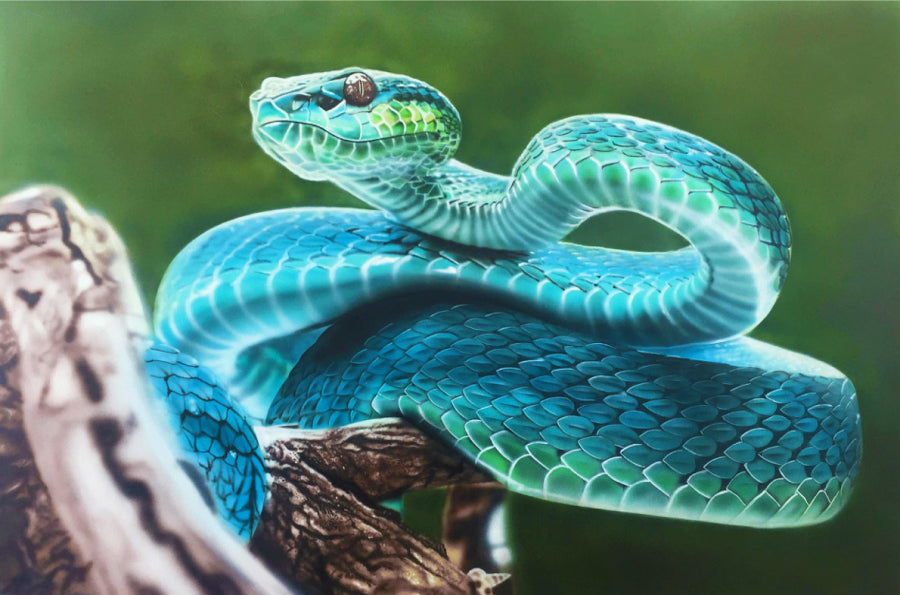 Exotic Snake Painting: A Vibrant Nature Experience