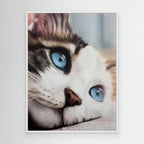 Whiskered Dreams