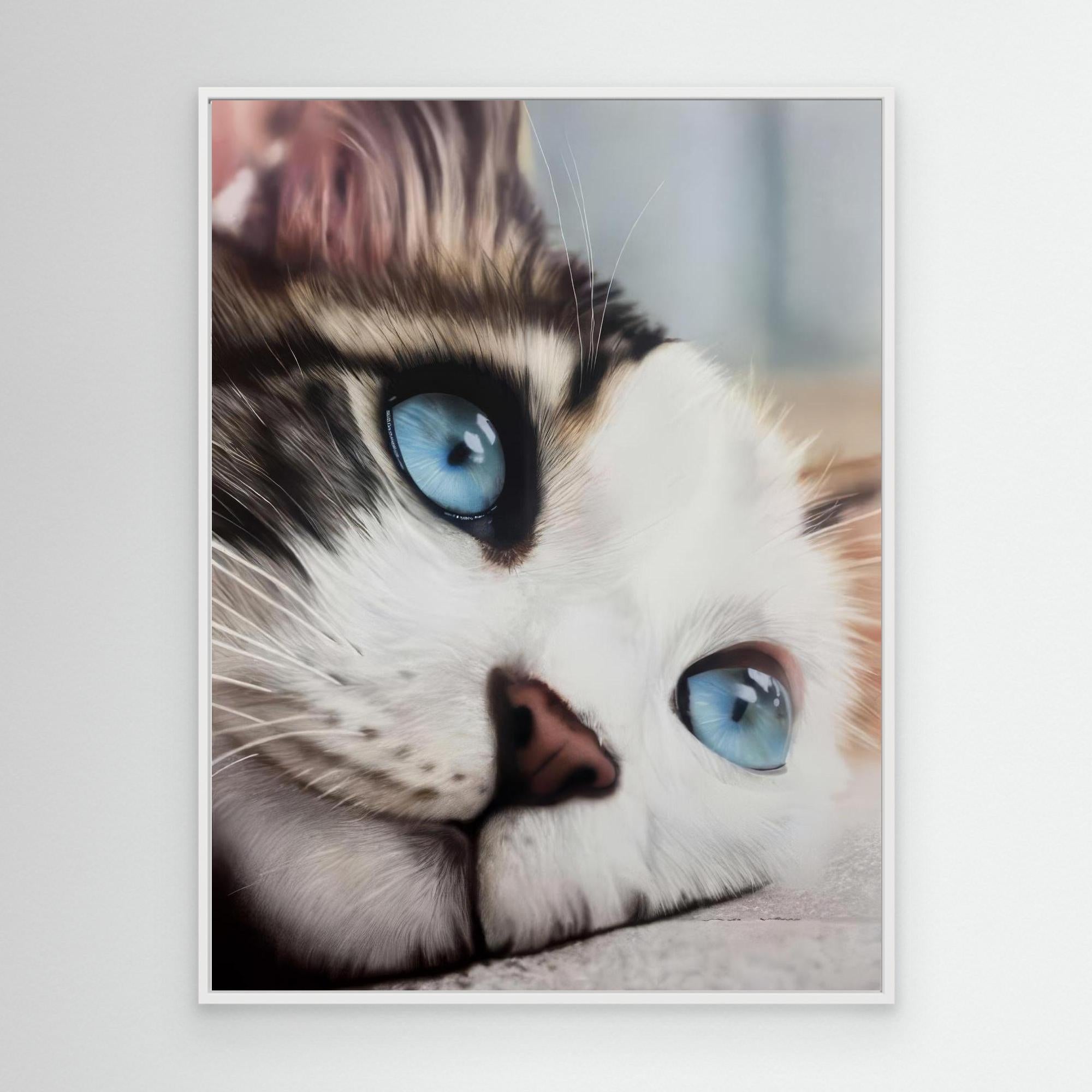 Whiskered Dreams